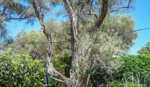 Продажа Вилла Antibes