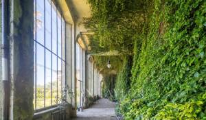 Продажа Вилла Firenze