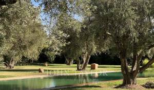 Продажа Вилла Marrakech