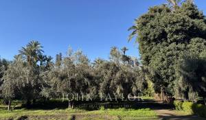 Продажа Вилла Marrakech