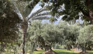 Продажа Вилла Marrakech