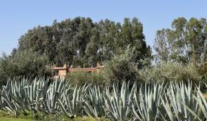 Продажа Вилла Marrakech