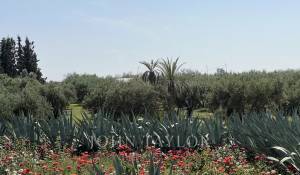 Продажа Вилла Marrakech