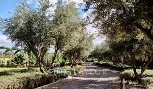 Продажа Вилла Marrakech