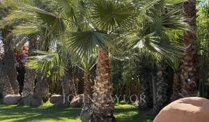 Продажа Вилла Marrakech