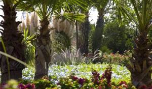 Продажа Вилла Marrakech