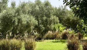 Продажа Вилла Marrakech