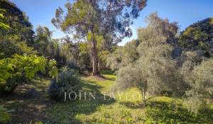 Продажа Вилла Mougins