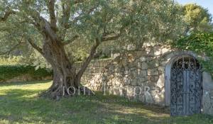 Продажа Вилла Roquebrune-Cap-Martin