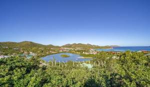Продажа Вилла Saint-Barthélemy