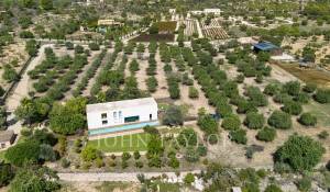 Продажа Вилла Santa María del Camí