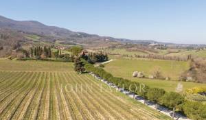 Продажа Вилла Siena