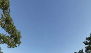 Продажа Вилла Sotogrande