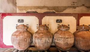 Продажа Винодельческое поместье Bordeaux