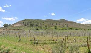 Продажа Винодельческое поместье Cuenca