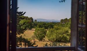 Продажа Винодельческое поместье L'Isle-sur-la-Sorgue