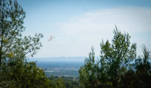 Продажа Винодельческое поместье L'Isle-sur-la-Sorgue