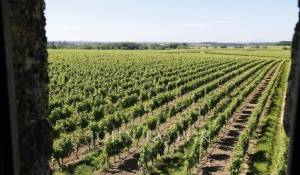 Продажа Замок Saint-Émilion