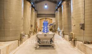 Продажа Замок Saint-Émilion