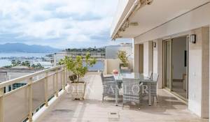 Сезонная аренда Апартаменты Cannes