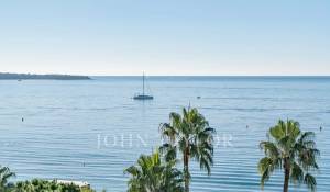 Сезонная аренда Апартаменты Cannes