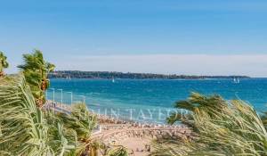 Сезонная аренда Апартаменты Cannes