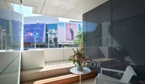 Сезонная аренда Апартаменты Cannes