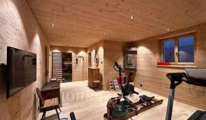 Сезонная аренда Апартаменты Saanen