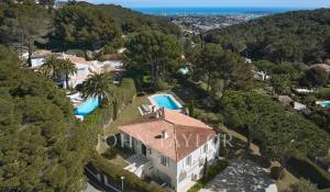 Сезонная аренда Поместье Cannes