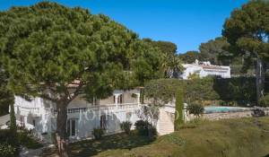 Сезонная аренда Поместье Cannes