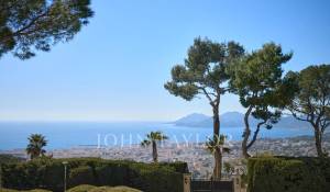 Сезонная аренда Поместье Cannes