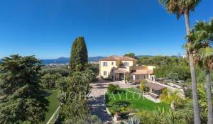 Сезонная аренда Поместье Cannes