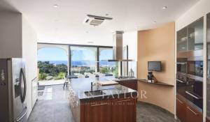 Сезонная аренда Поместье Cannes