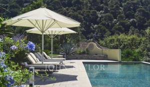 Сезонная аренда Поместье Cannes