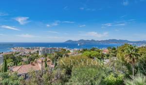Сезонная аренда Поместье Cannes
