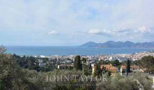 Сезонная аренда Поместье Cannes