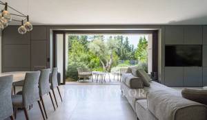 Сезонная аренда Поместье Cannes