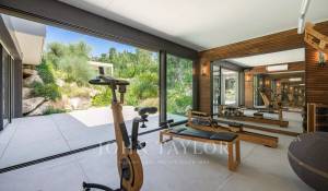 Сезонная аренда Поместье Cannes