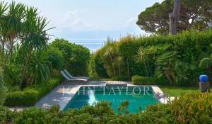 Сезонная аренда Поместье Cannes