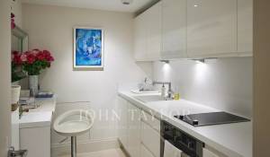 Сезонная аренда Поместье Cannes