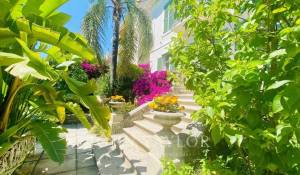 Сезонная аренда Поместье Cannes