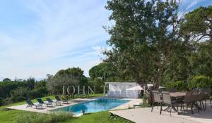 Сезонная аренда Поместье Cannes