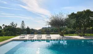 Сезонная аренда Поместье Cannes