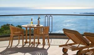 Сезонная аренда Поместье Cannes