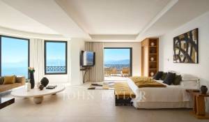 Сезонная аренда Поместье Cannes