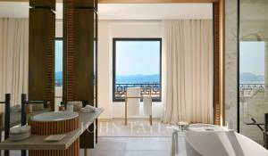 Сезонная аренда Поместье Cannes