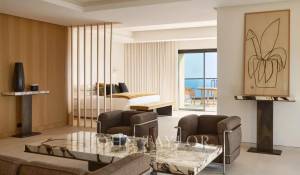 Сезонная аренда Поместье Cannes