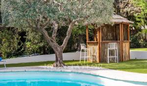 Сезонная аренда Поместье Cannes