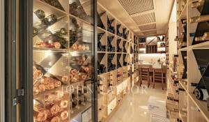 Сезонная аренда Поместье Cannes