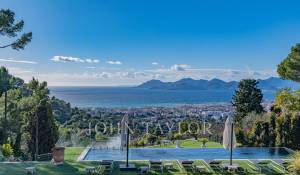 Сезонная аренда Поместье Cannes